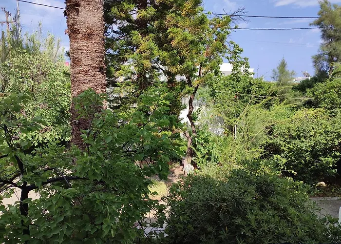 Dolphin 아파트호텔 3*