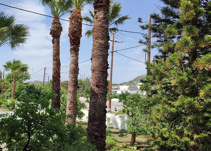 아파트호텔 Dolphin