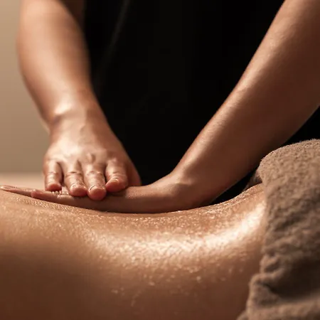 Dolphin 3* 팔리라키