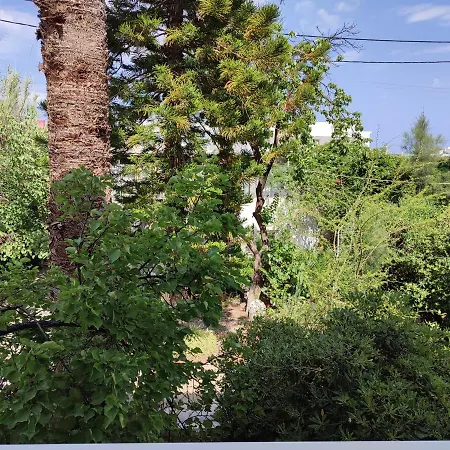 Dolphin Lägenhetshotell 3*