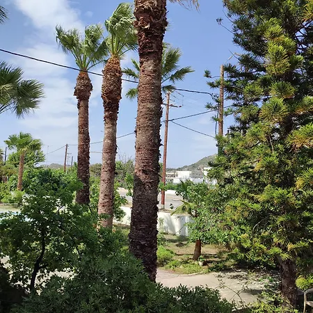 Lägenhetshotell Dolphin